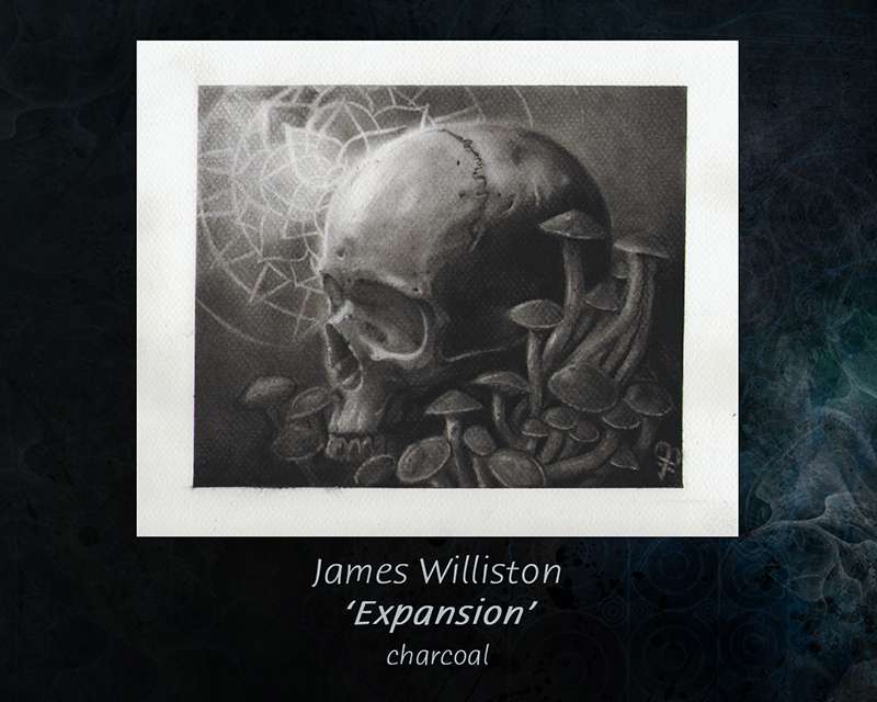 James Williston - Exoansion sample